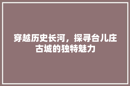 穿越历史长河，探寻台儿庄古城的独特魅力