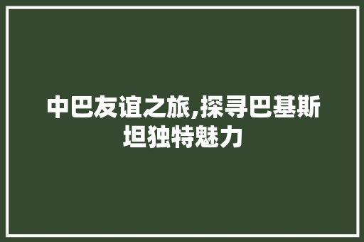 中巴友谊之旅,探寻巴基斯坦独特魅力