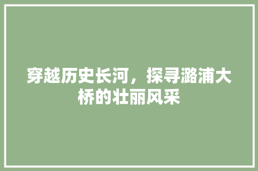 穿越历史长河，探寻潞浦大桥的壮丽风采