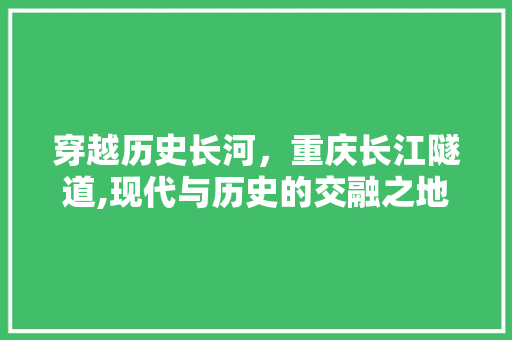 穿越历史长河，重庆长江隧道,现代与历史的交融之地