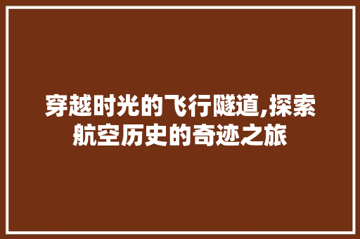 穿越时光的飞行隧道,探索航空历史的奇迹之旅