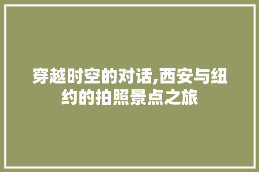 穿越时空的对话,西安与纽约的拍照景点之旅