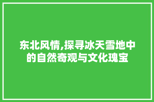 东北风情,探寻冰天雪地中的自然奇观与文化瑰宝