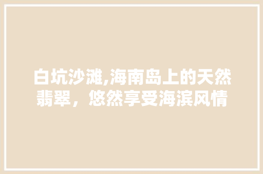 白坑沙滩,海南岛上的天然翡翠，悠然享受海滨风情