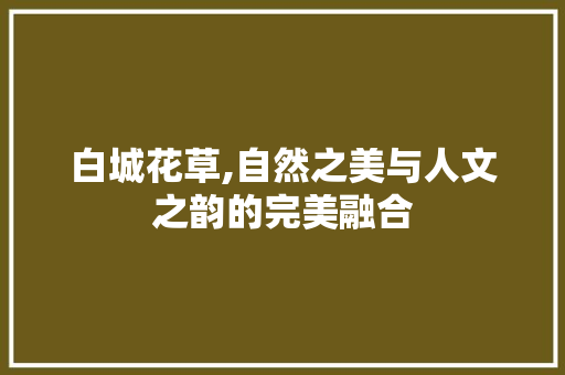 白城花草,自然之美与人文之韵的完美融合