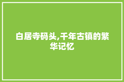 白居寺码头,千年古镇的繁华记忆