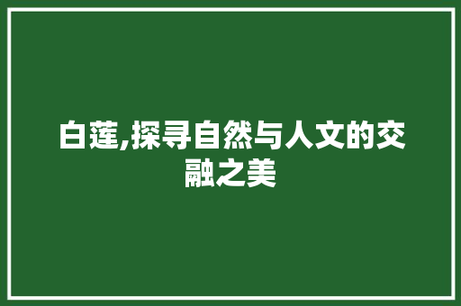 白莲,探寻自然与人文的交融之美