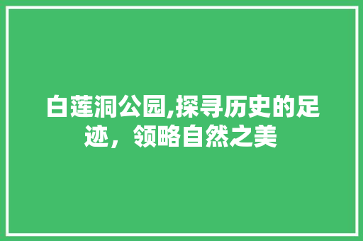 白莲洞公园,探寻历史的足迹，领略自然之美