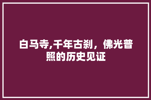 白马寺,千年古刹，佛光普照的历史见证