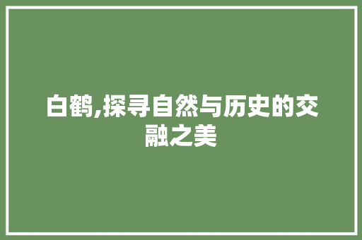 白鹤,探寻自然与历史的交融之美