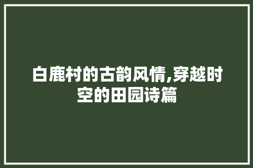 白鹿村的古韵风情,穿越时空的田园诗篇