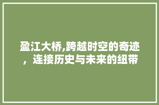 盈江大桥,跨越时空的奇迹，连接历史与未来的纽带