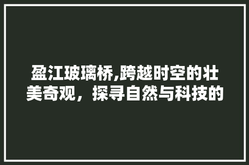 盈江玻璃桥,跨越时空的壮美奇观，探寻自然与科技的完美融合