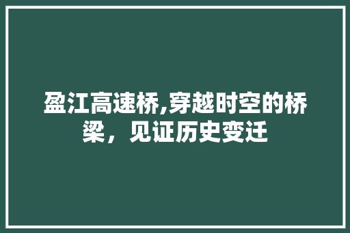 盈江高速桥,穿越时空的桥梁，见证历史变迁