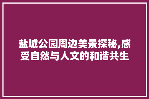 盐城公园周边美景探秘,感受自然与人文的和谐共生