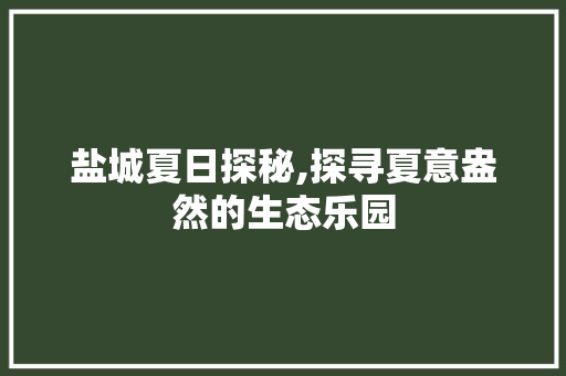 盐城夏日探秘,探寻夏意盎然的生态乐园