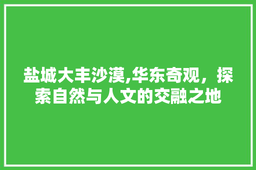 盐城大丰沙漠,华东奇观，探索自然与人文的交融之地