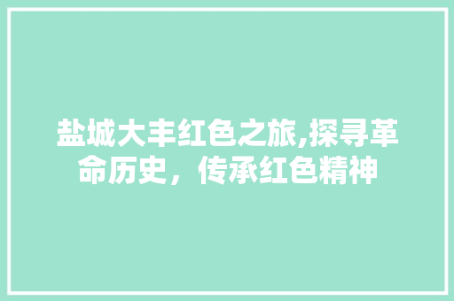 盐城大丰红色之旅,探寻革命历史，传承红色精神