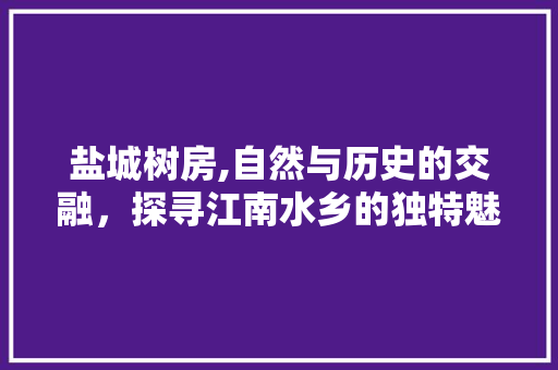 盐城树房,自然与历史的交融，探寻江南水乡的独特魅力