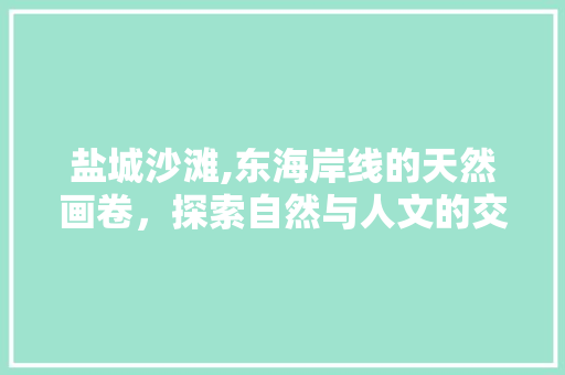 盐城沙滩,东海岸线的天然画卷，探索自然与人文的交融之美