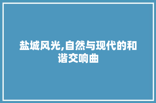 盐城风光,自然与现代的和谐交响曲