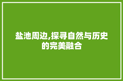 盐池周边,探寻自然与历史的完美融合