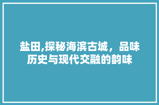 盐田,探秘海滨古城，品味历史与现代交融的韵味