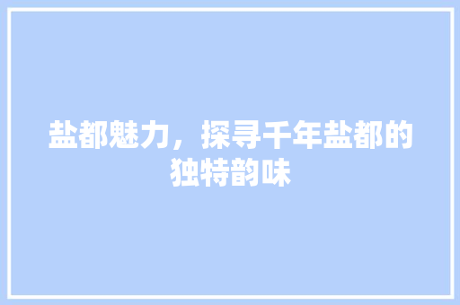 盐都魅力，探寻千年盐都的独特韵味