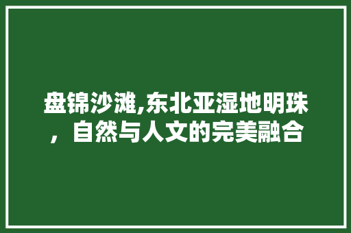 盘锦沙滩,东北亚湿地明珠，自然与人文的完美融合