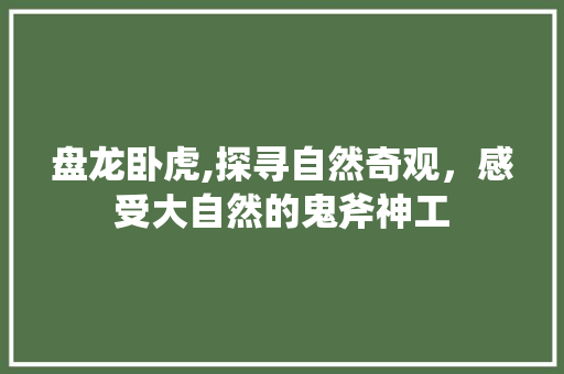 盘龙卧虎,探寻自然奇观，感受大自然的鬼斧神工