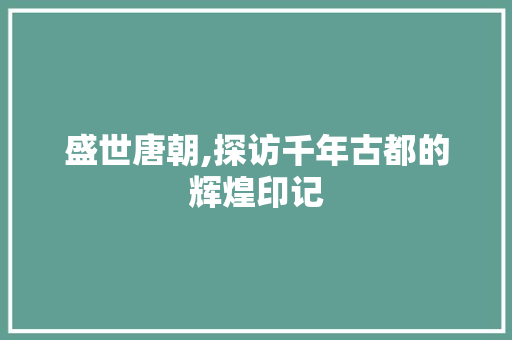 盛世唐朝,探访千年古都的辉煌印记