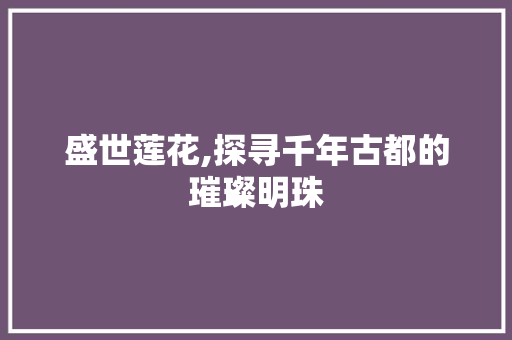 盛世莲花,探寻千年古都的璀璨明珠  第1张