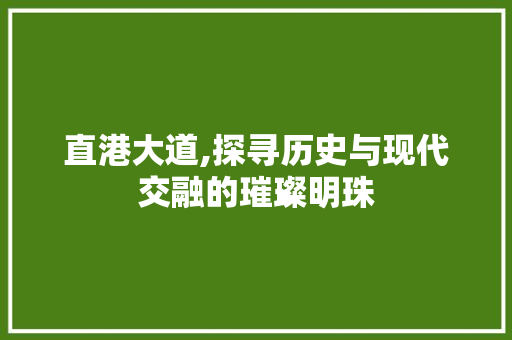 直港大道,探寻历史与现代交融的璀璨明珠