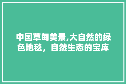 中国草甸美景,大自然的绿色地毯，自然生态的宝库