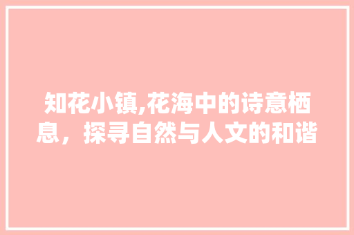 知花小镇,花海中的诗意栖息，探寻自然与人文的和谐共鸣