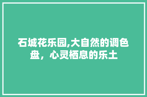 石城花乐园,大自然的调色盘，心灵栖息的乐土