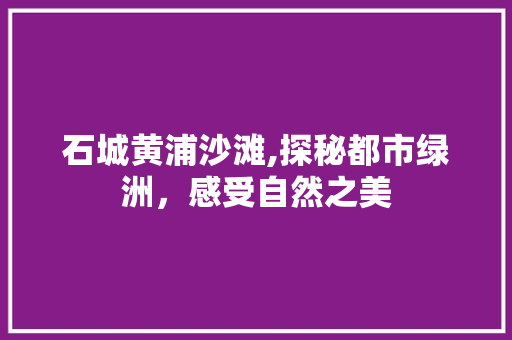 石城黄浦沙滩,探秘都市绿洲，感受自然之美