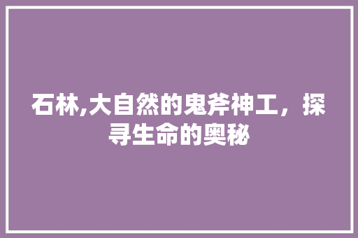 石林,大自然的鬼斧神工，探寻生命的奥秘