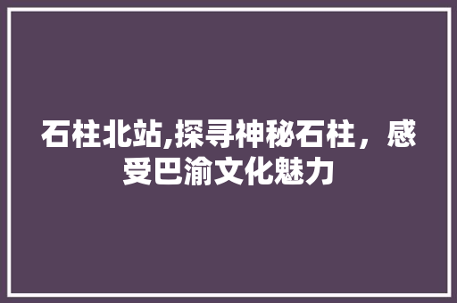 石柱北站,探寻神秘石柱，感受巴渝文化魅力