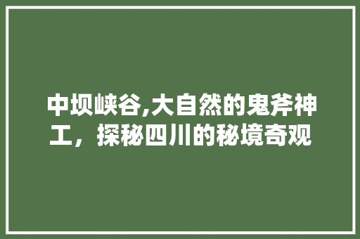 中坝峡谷,大自然的鬼斧神工，探秘四川的秘境奇观  第1张