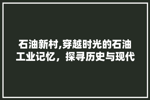 石油新村,穿越时光的石油工业记忆，探寻历史与现代交融的韵味