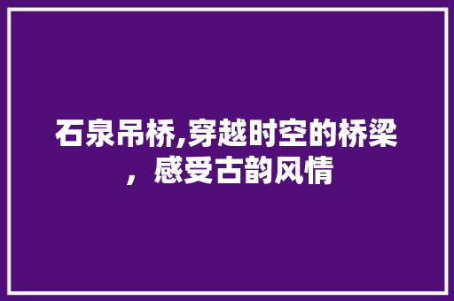 石泉吊桥,穿越时空的桥梁，感受古韵风情