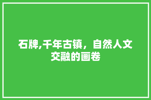 石牌,千年古镇，自然人文交融的画卷