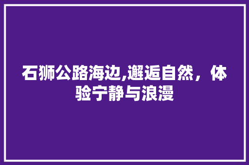 石狮公路海边,邂逅自然，体验宁静与浪漫