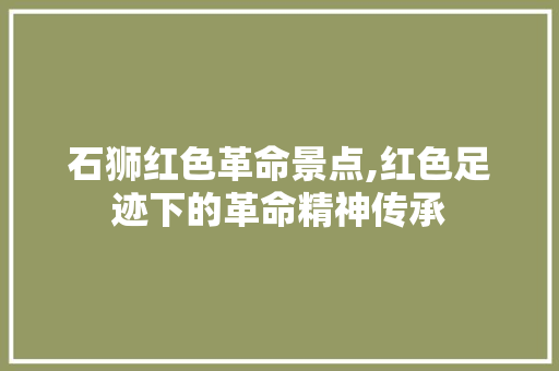 石狮红色革命景点,红色足迹下的革命精神传承