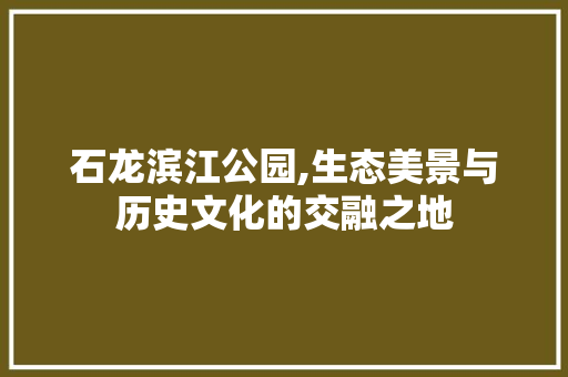 石龙滨江公园,生态美景与历史文化的交融之地