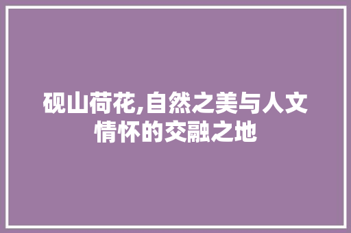 砚山荷花,自然之美与人文情怀的交融之地