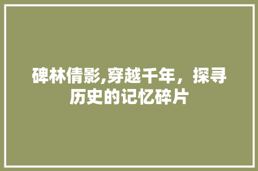 碑林倩影,穿越千年，探寻历史的记忆碎片