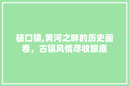 碛口镇,黄河之畔的历史画卷，古镇风情尽收眼底