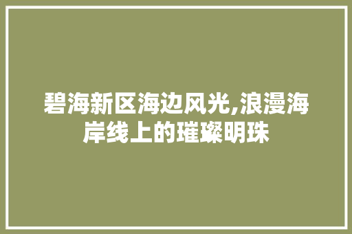 碧海新区海边风光,浪漫海岸线上的璀璨明珠